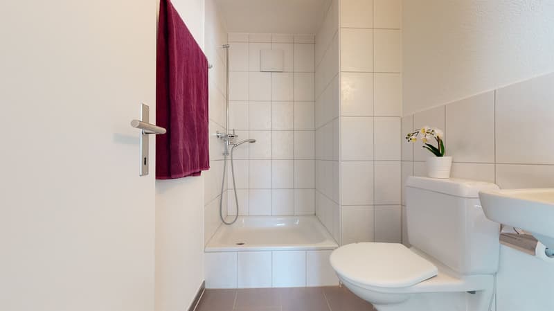 Traumhafte Wohnung mit Balkon - inklusive Umzugsgutschein von CHF 500.- (7)