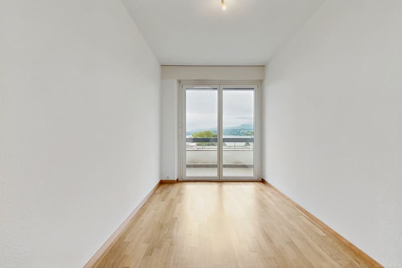 Vivre dans un logement moderne à deux pas du lac Léman ! (8)