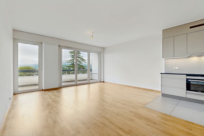 Vivre dans un logement moderne à deux pas du lac Léman ! (2)