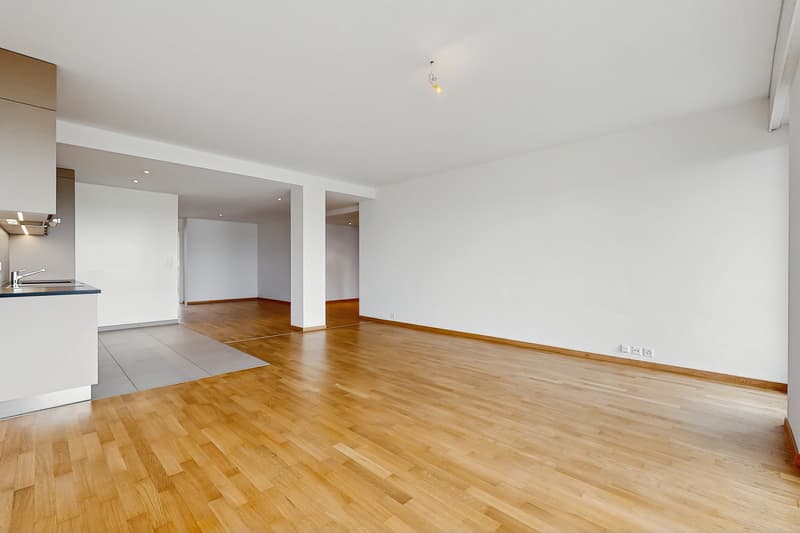 Vivre dans un logement moderne à deux pas du lac Léman ! (3)