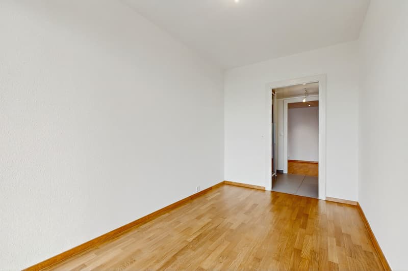 Vivre dans un logement moderne à deux pas du lac Léman ! (9)