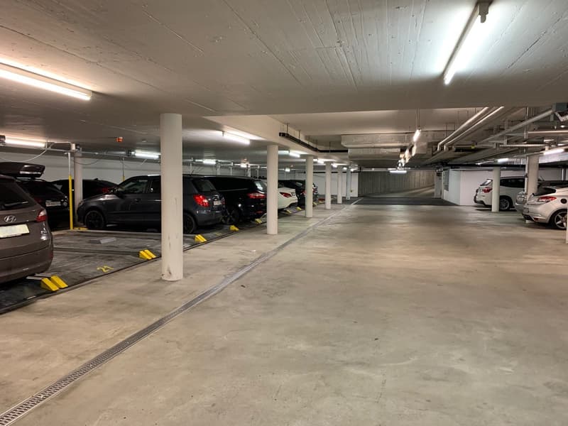 Einstellplätze nähe Stauffacher (6)