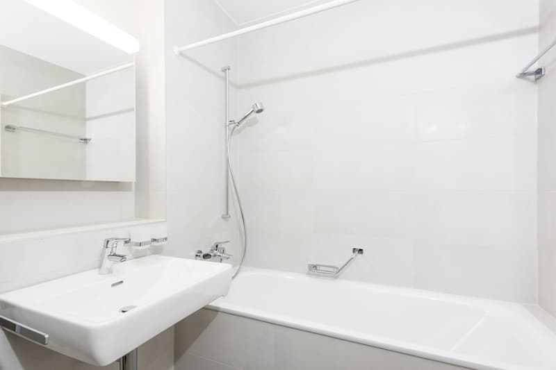 Idéal pour un couple ! Un mois de loyer offert (6)