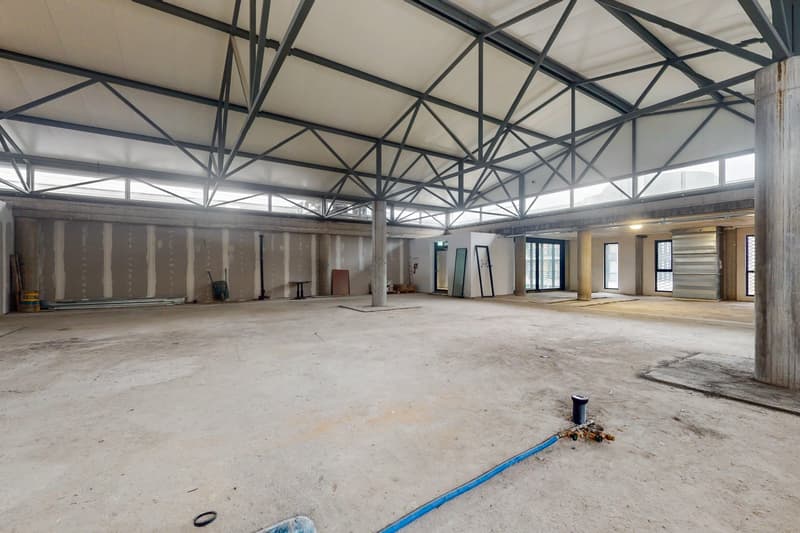 Ampio Open Space in zona strategica (3)