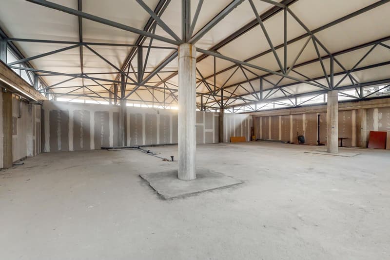 Ampio Open Space in zona strategica (6)