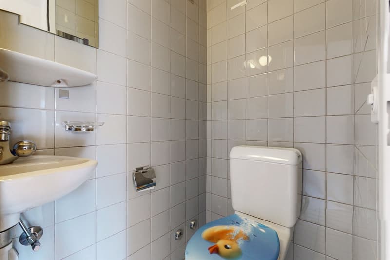 Ruhig schlafen und in 3 Minuten beim Trämli... (9)