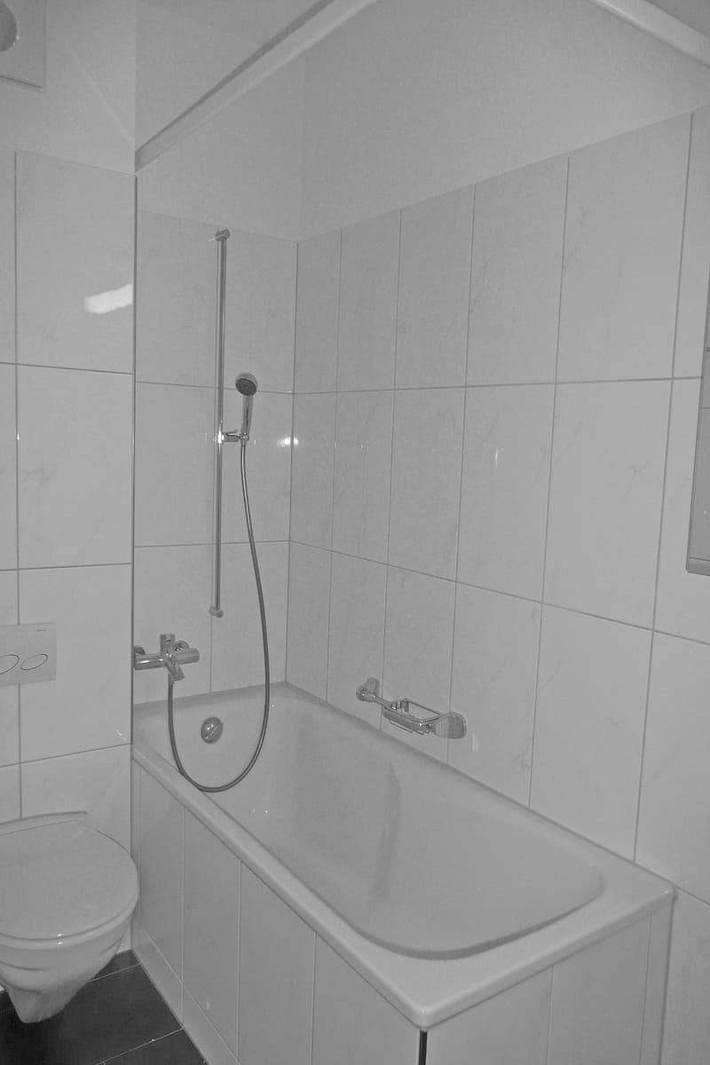 Geniale Wohnung an wunderschöner Lage (6)