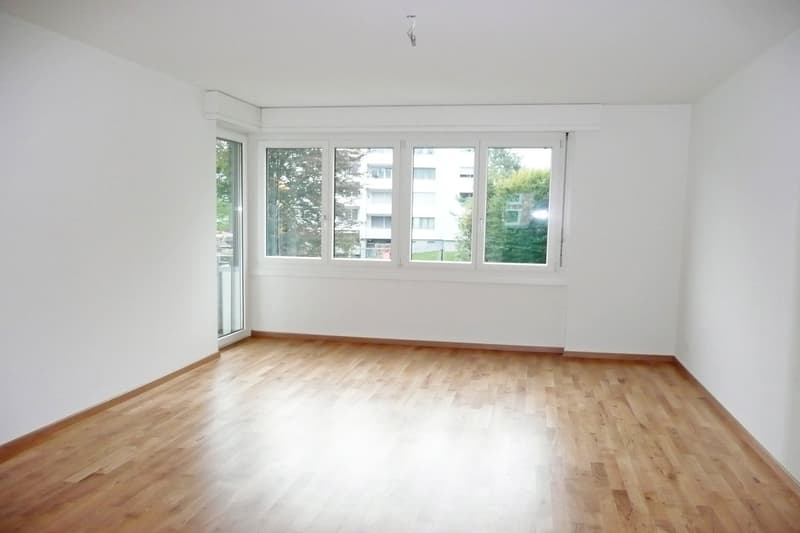 Geniale Wohnung an wunderschöner Lage (2)