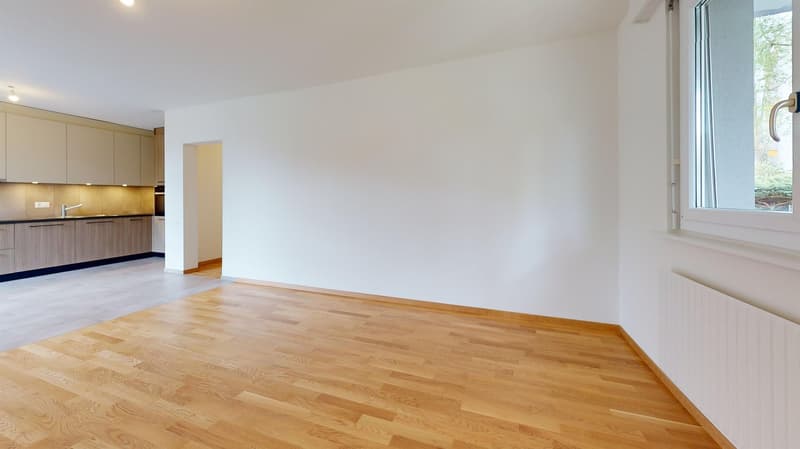 Appartement entièrement rénové - Un mois de loyer offert (4)