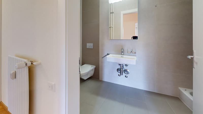 Appartement entièrement rénové - Un mois de loyer offert (8)