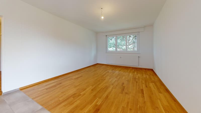 Appartement entièrement rénové - Un mois de loyer offert (6)