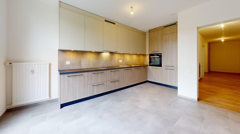 Appartement entièrement rénové - Un mois de loyer offert (3)