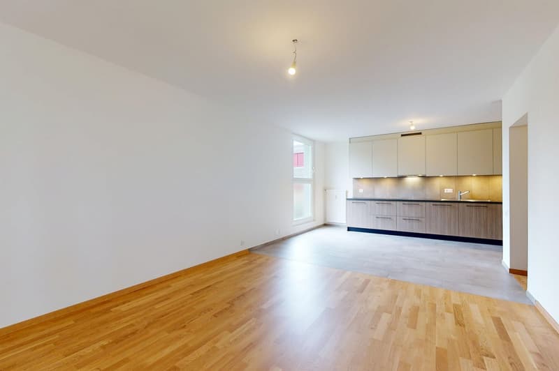 Appartement entièrement rénové - Un mois de loyer offert (5)