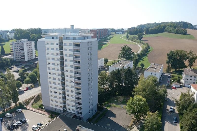 Appartement entièrement rénové - Un mois de loyer offert (10)