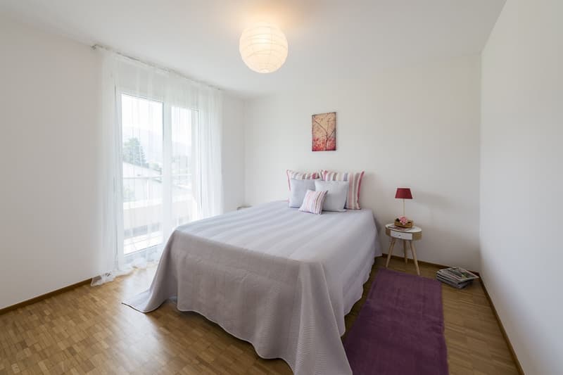 Luminoso appartamento in zona tranquilla e soleggiata a Massagno (6)