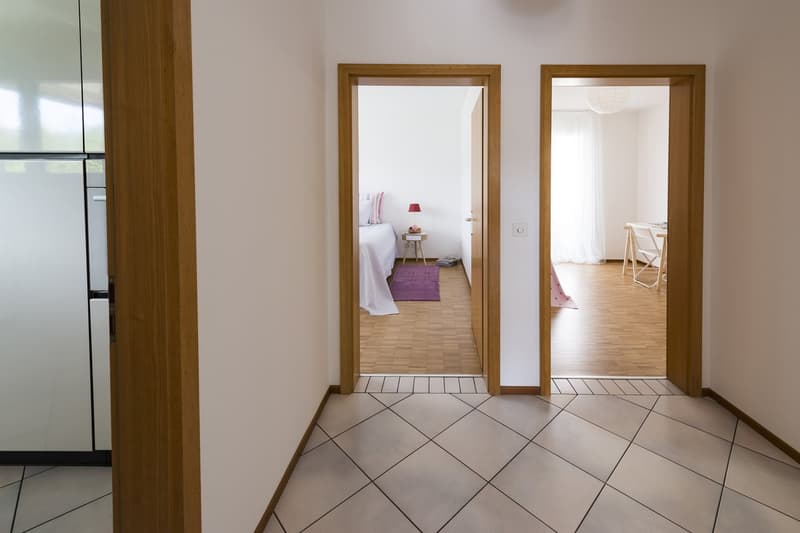 Luminoso appartamento in zona tranquilla e soleggiata a Massagno (2)