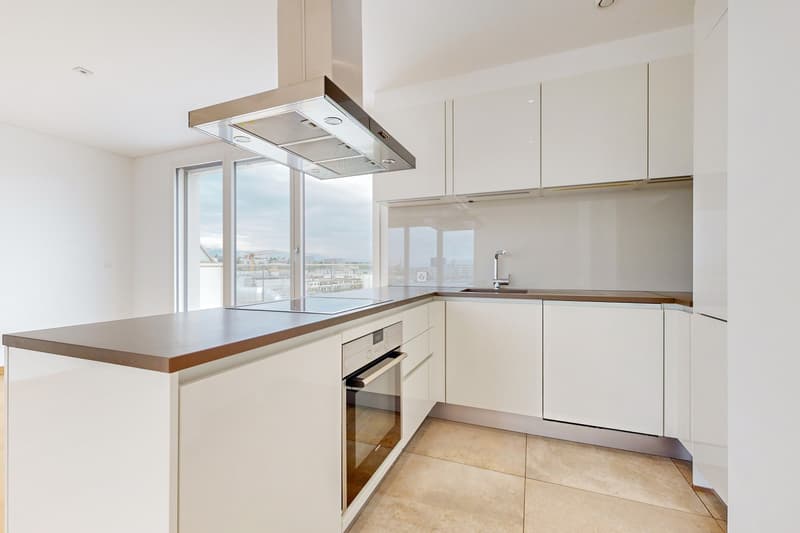 Vivre dans un appartement en surélévation au coeur de la Servette ! (2)