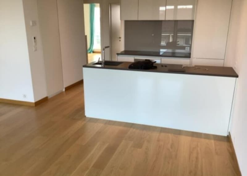 Vivre dans un appartement en surélévation au coeur de la Servette ! (2)