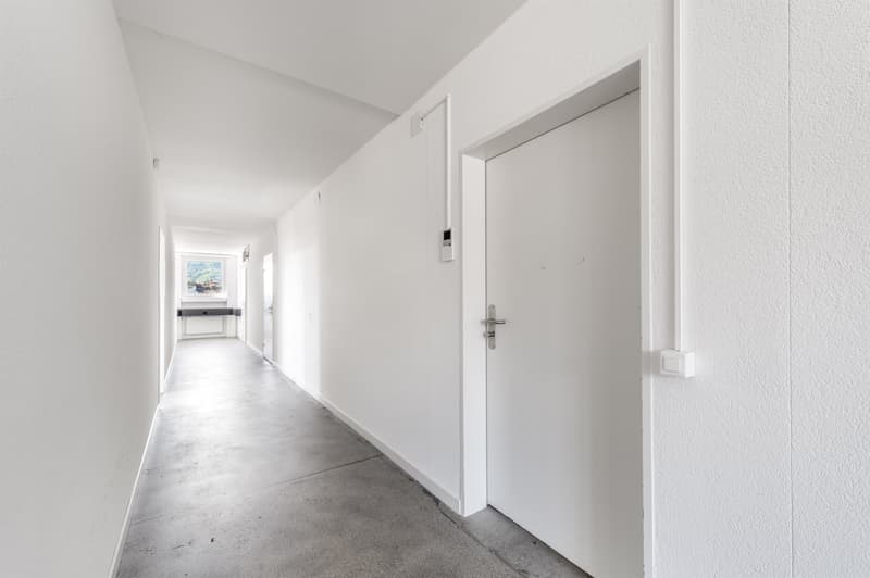 Bürofläche in Zürich an der Stauffacherstrasse zu vermieten (7)