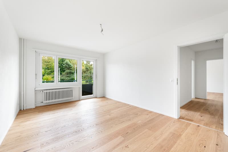 Die perfekte Wohnung Nähe Irchelpark - frisch saniert! (3)