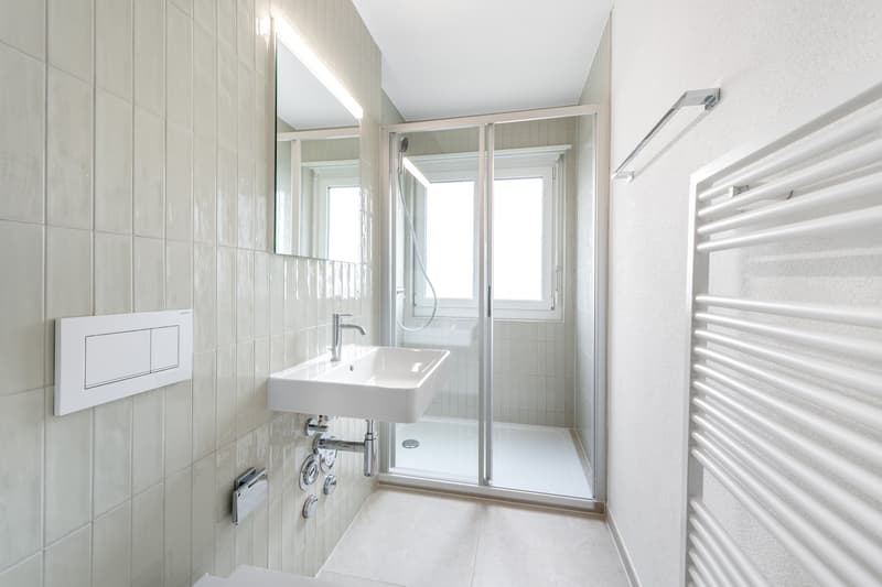 Die perfekte Wohnung Nähe Irchelpark - frisch saniert! (7)