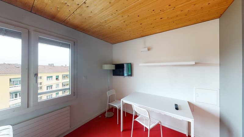 Idéal pour un étudiant - Bon TL CHF 300.00 offert ! (5)