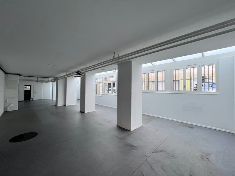 Développez votre activité dans cette surface au cur de Genève! (7)