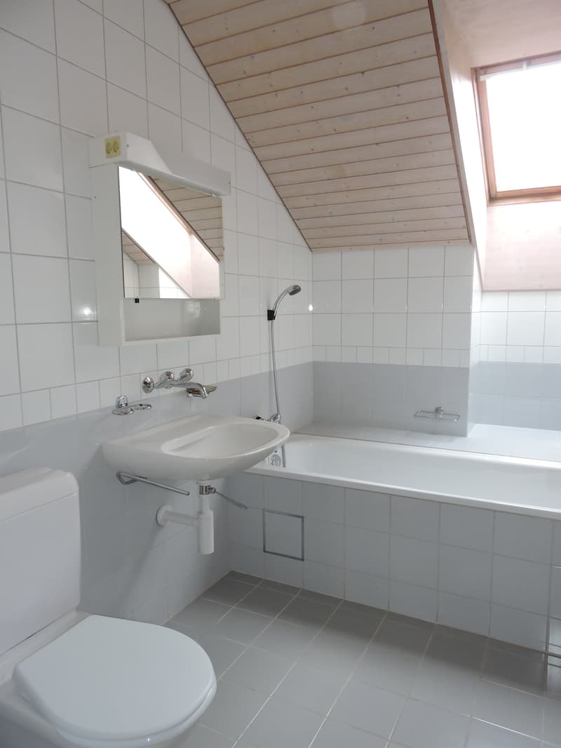 Vorteile geniessen, grosszügige Dachwohnung in grüner Umgebung (8)