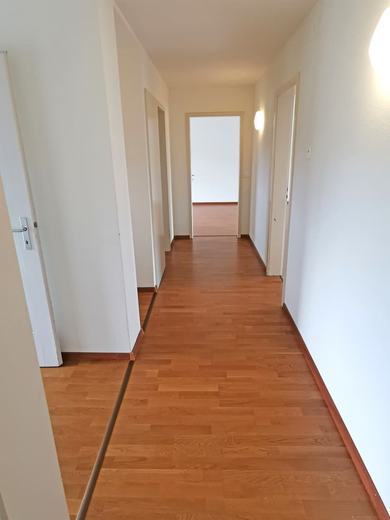 Ruhige 4.5-Zimmerwohnung zu vermieten (4)