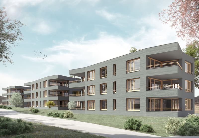 SPEZIALANGEBOT: Einstellhallenplatz zu vermieten! (1)