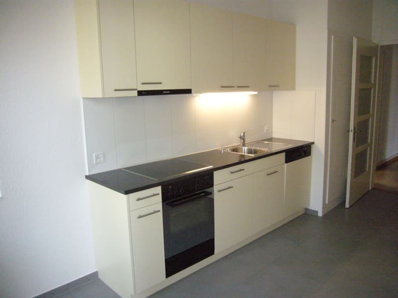 Grosszügige Wohnung an zentraler Lage (3)