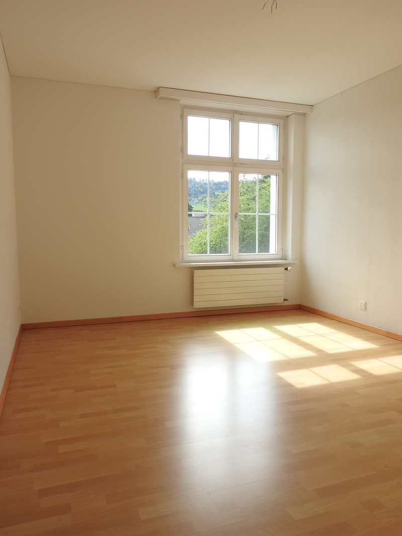 Tolle Altbauwohnung am Rosenberg (6)