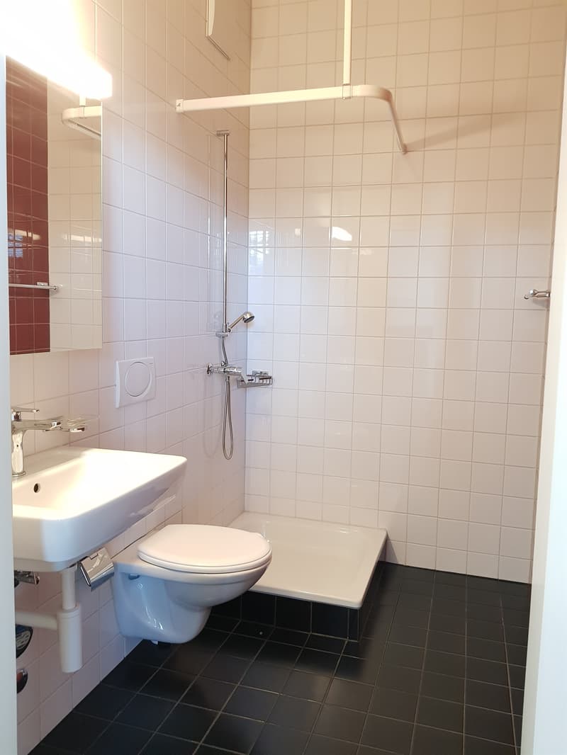 Eine Wohnung - ein Blickfang! (10)