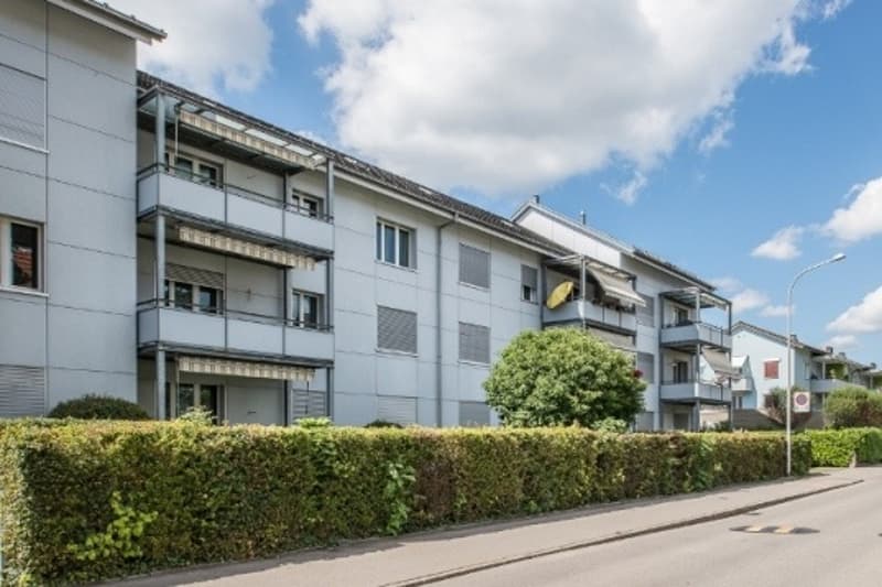 Familienträume werden wahr! (6)