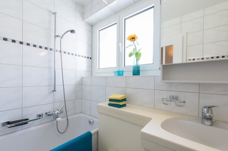 Wohnung mit grossem Balkon! (7)
