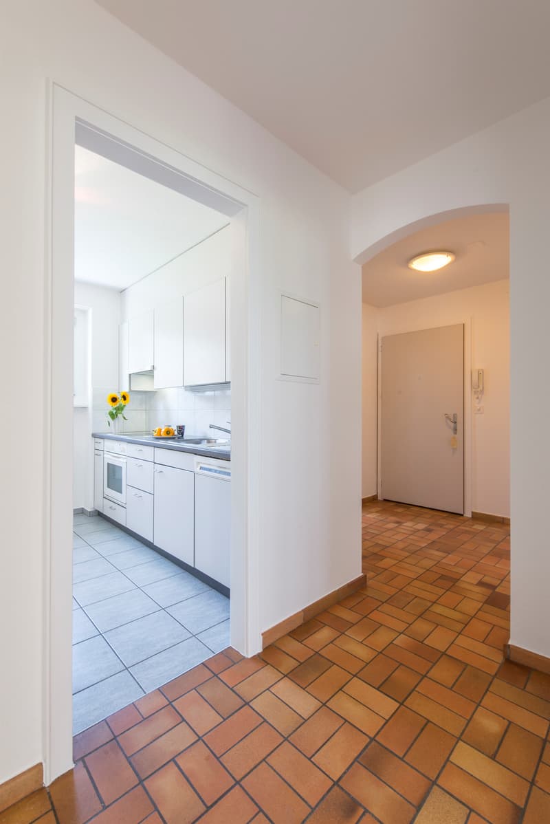Wohnung mit grossem Balkon! (5)