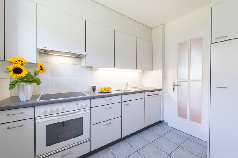 Wohnung mit grossem Balkon! (4)