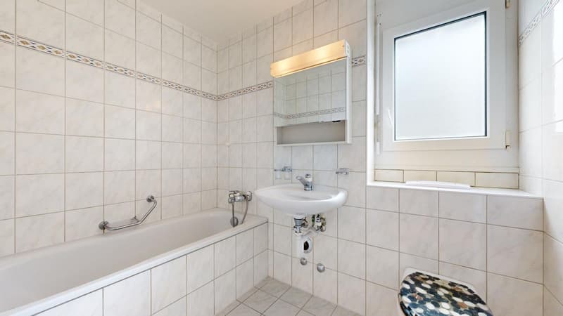 Spacieux logement (6)