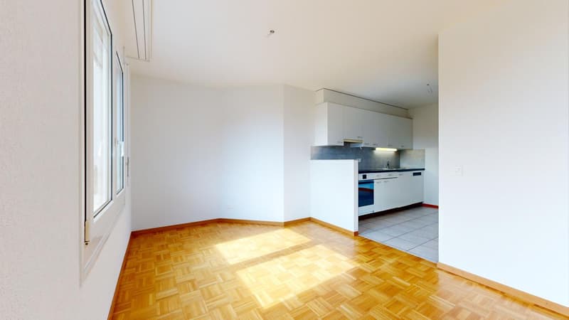 Spacieux logement (3)