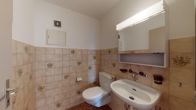Dachwohnung mit geräumigen Grundriss! (12)