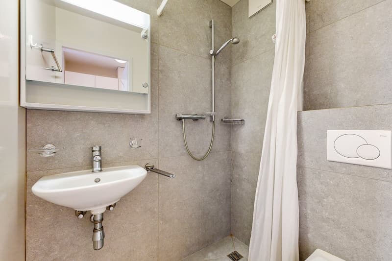 Logement meublé et lumineux (5)