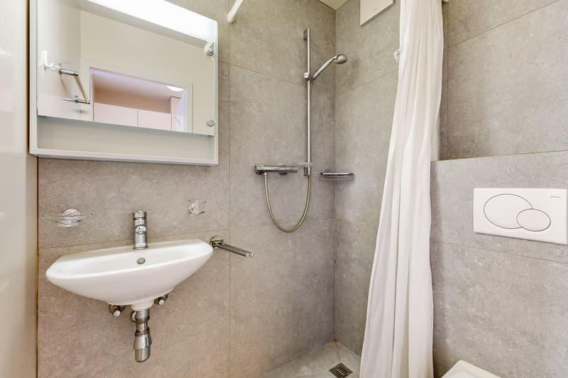 Logement meublé et lumineux (5)