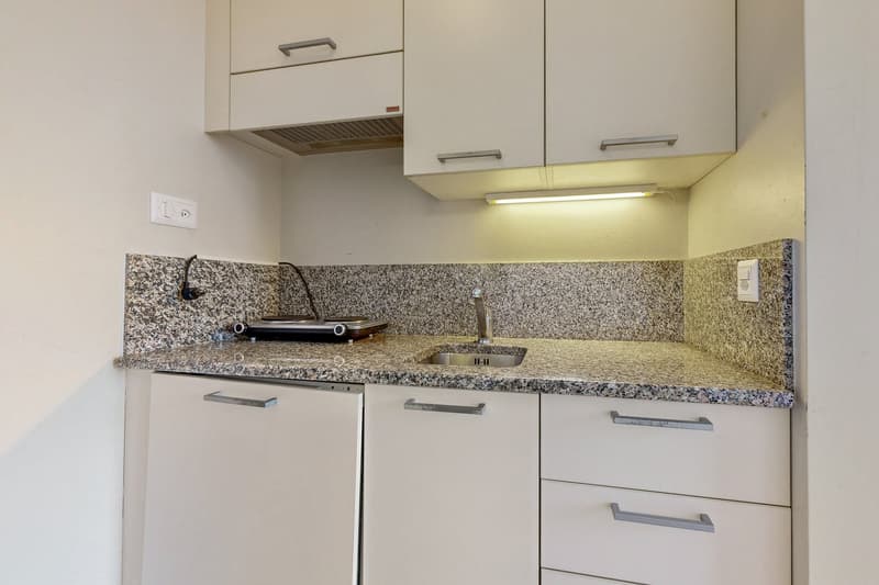 Logement meublé et lumineux (4)
