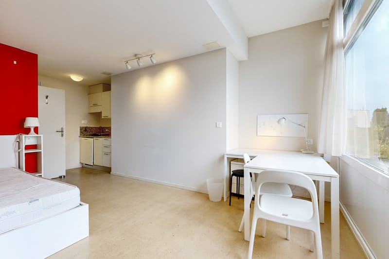 Logement meublé et lumineux (2)