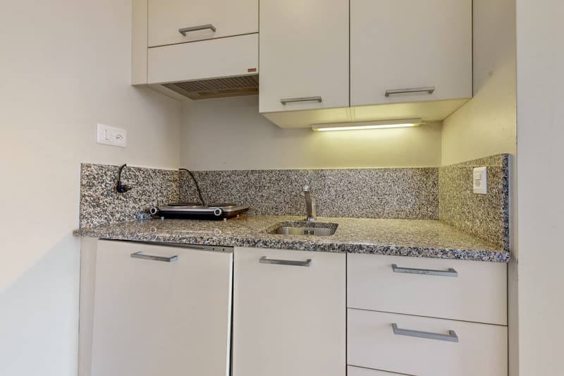 Logement meublé et lumineux (4)