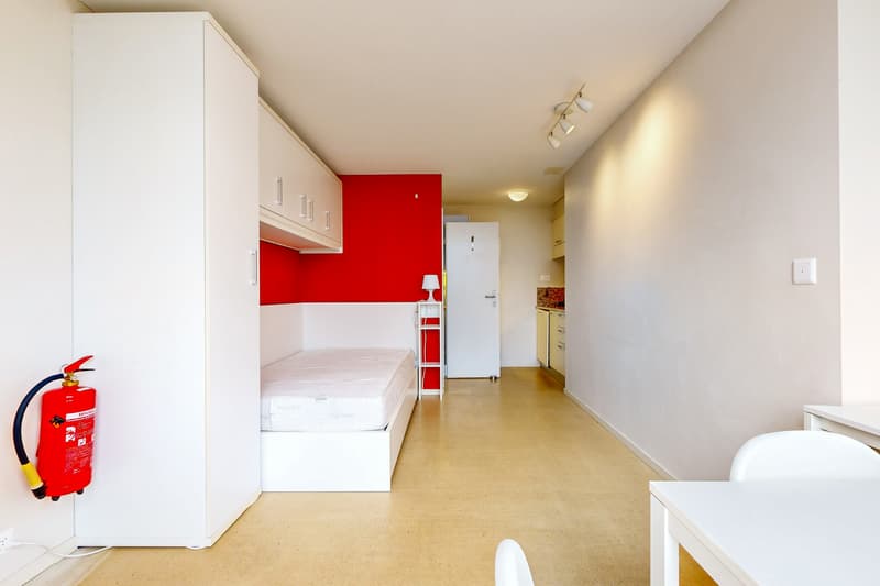 Logement meublé et lumineux (1)