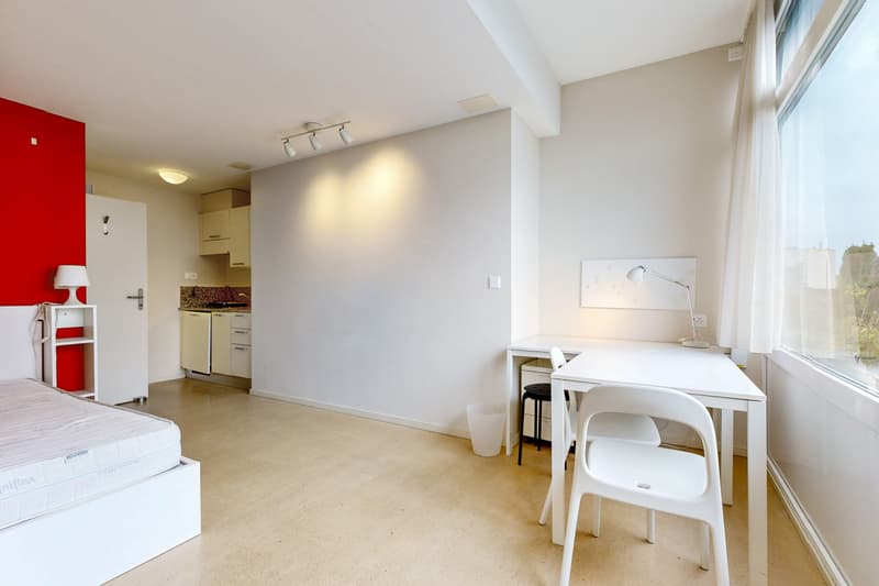 Logement meublé et lumineux (2)