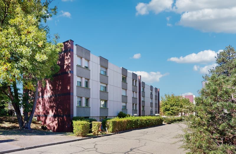 Gemütliche 4.5-Zimmerwohnung in familienfreundlicher Umgebung (1)