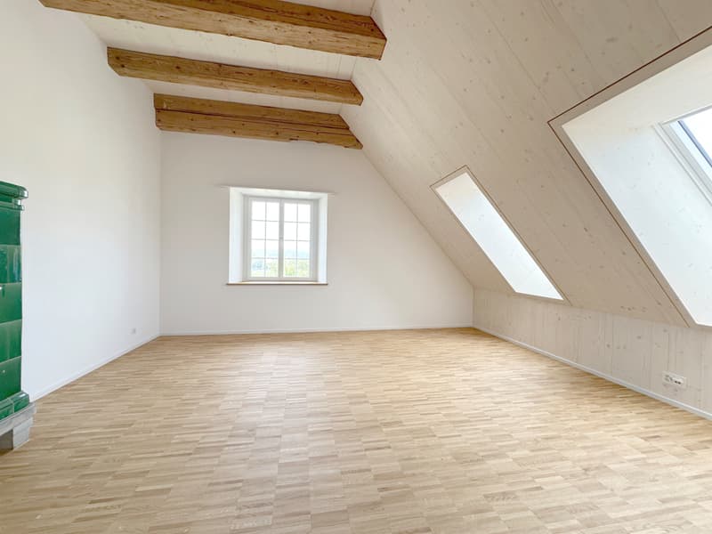 Ein Schmuckstück mitten im Grünen - MEIERHOF die besondere Art zu leben! (10)