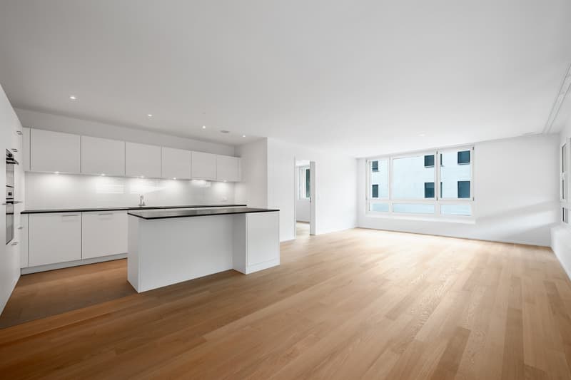 Moderne Wohnung in Schaffhausen (3)